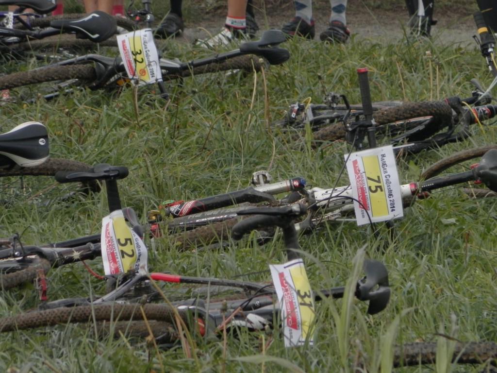 Esplorando il Mondo del Mountain Bike Cross-Country: Velocità, Tecnica ed Avventura Off-Road